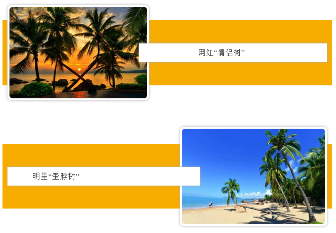 三亚旅游文化发展集团有限公司