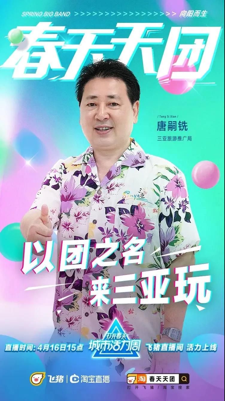 三亚旅游文化发展集团有限公司