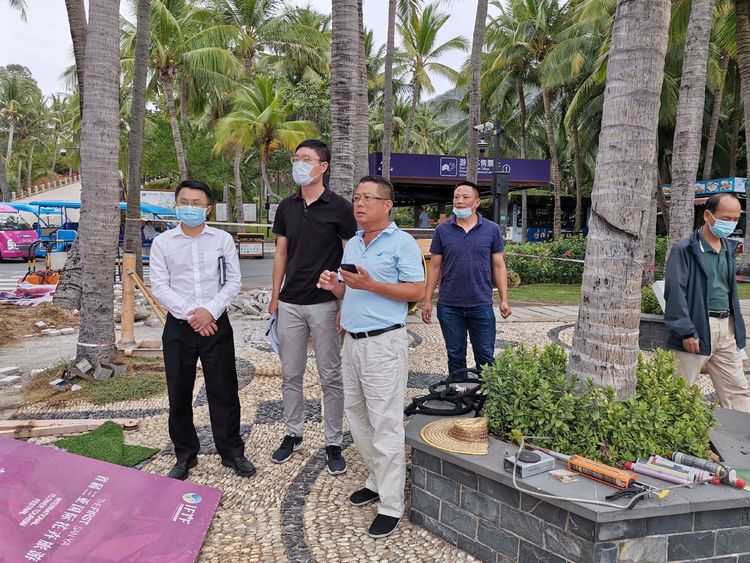 三亚旅游文化发展集团有限公司