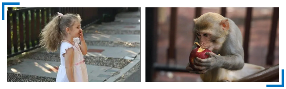 三亚旅游文化发展集团有限公司