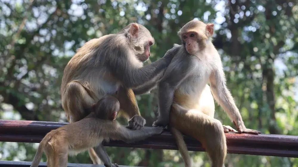 三亚旅游文化发展集团有限公司