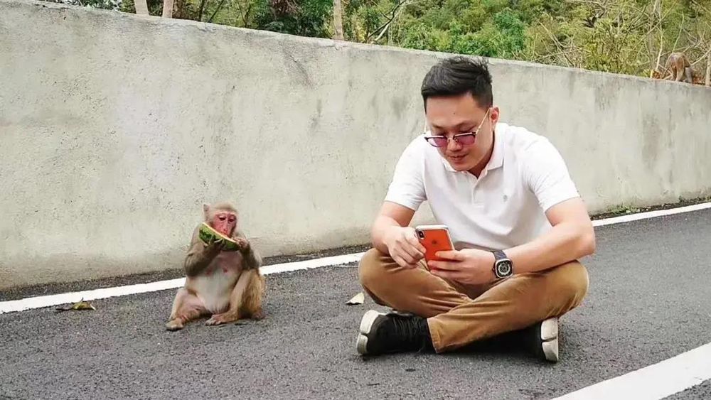 三亚旅游文化发展集团有限公司