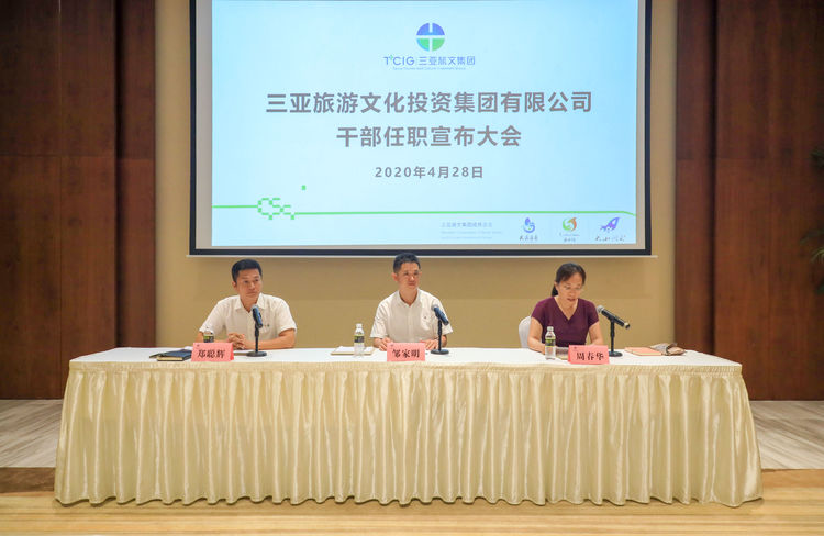 三亚旅游文化发展集团有限公司