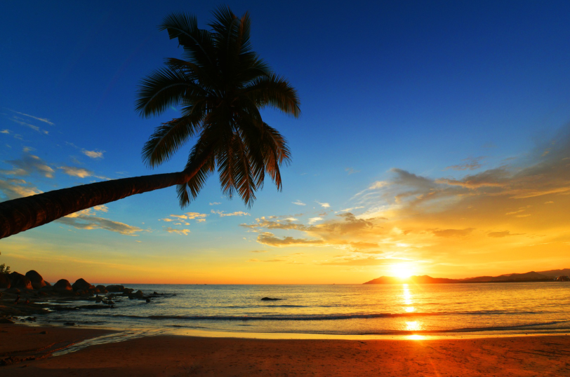 三亚旅游文化发展集团有限公司