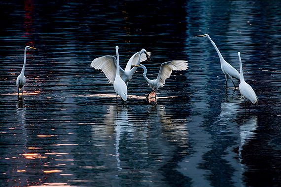 三亚旅游文化发展集团有限公司