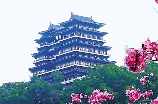 三亚旅游文化发展集团有限公司