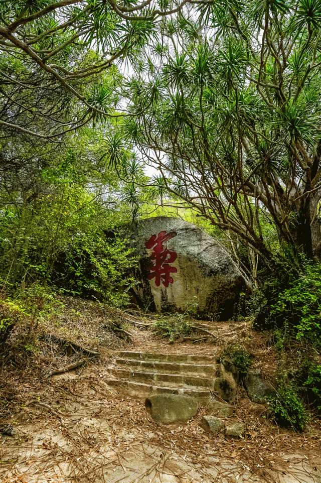 三亚旅游文化发展集团有限公司