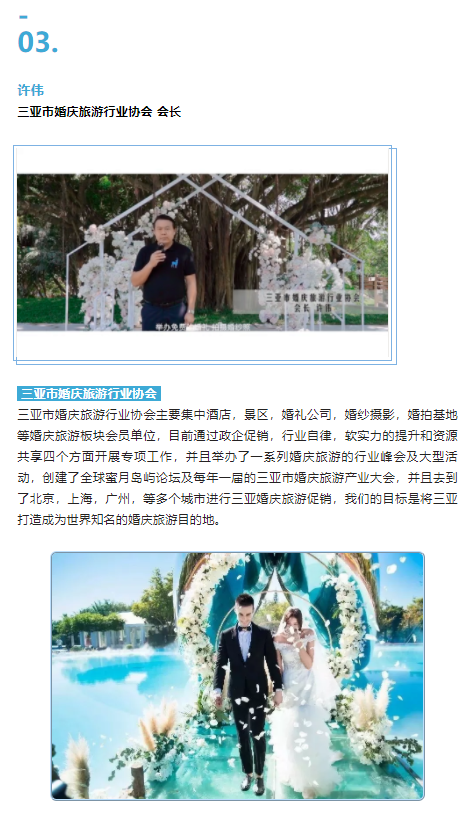 三亚旅游文化发展集团有限公司