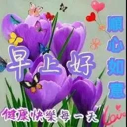 三亚旅游文化发展集团有限公司