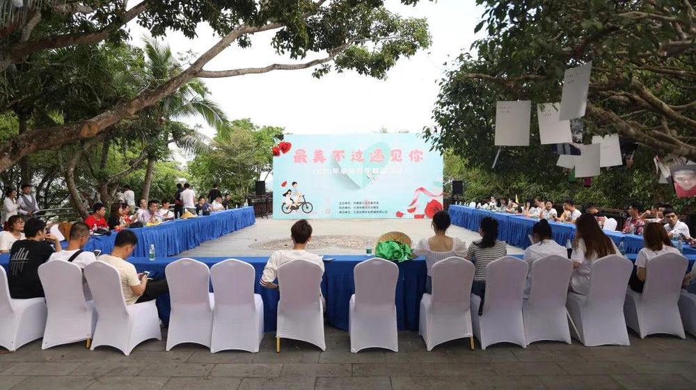 三亚旅游文化发展集团有限公司