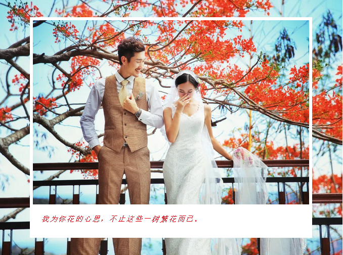 三亚旅游文化发展集团有限公司