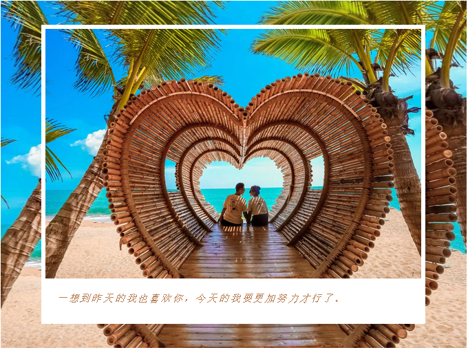 三亚旅游文化发展集团有限公司