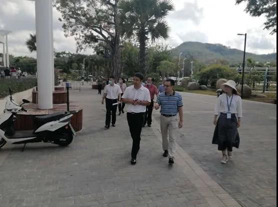 三亚旅游文化发展集团有限公司