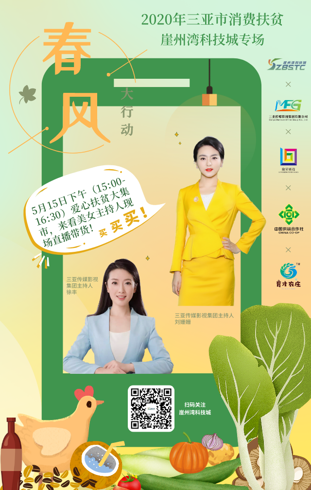 三亚旅游文化发展集团有限公司