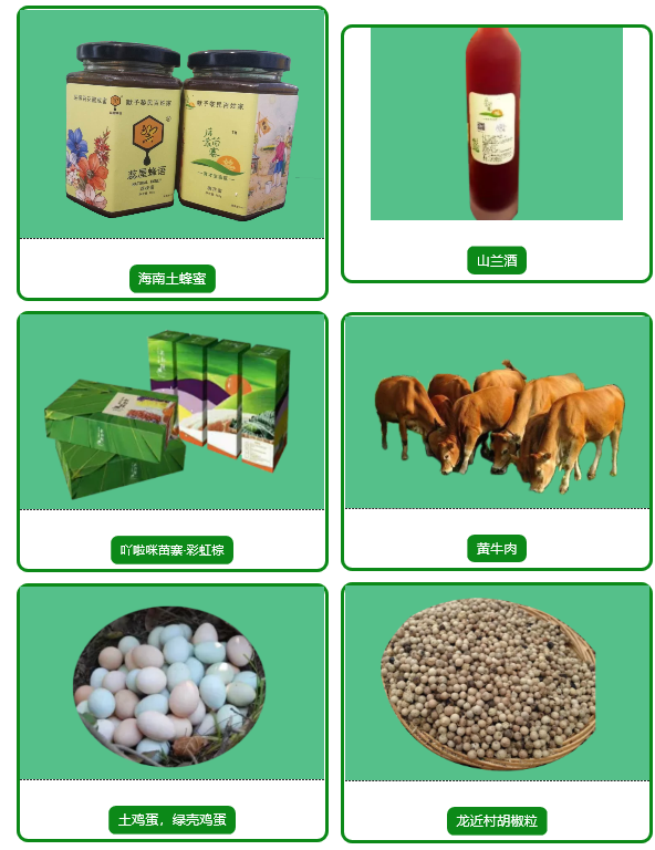 三亚旅游文化发展集团有限公司