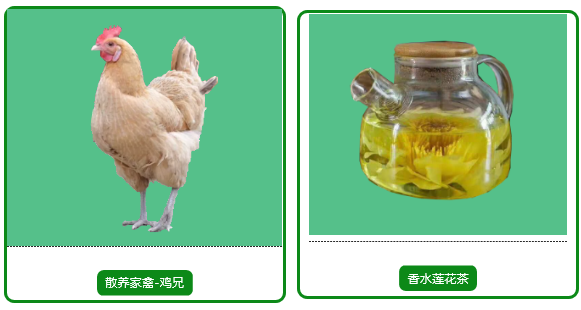 三亚旅游文化发展集团有限公司