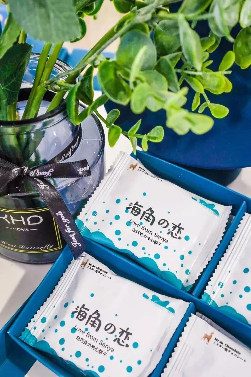 三亚旅游文化发展集团有限公司