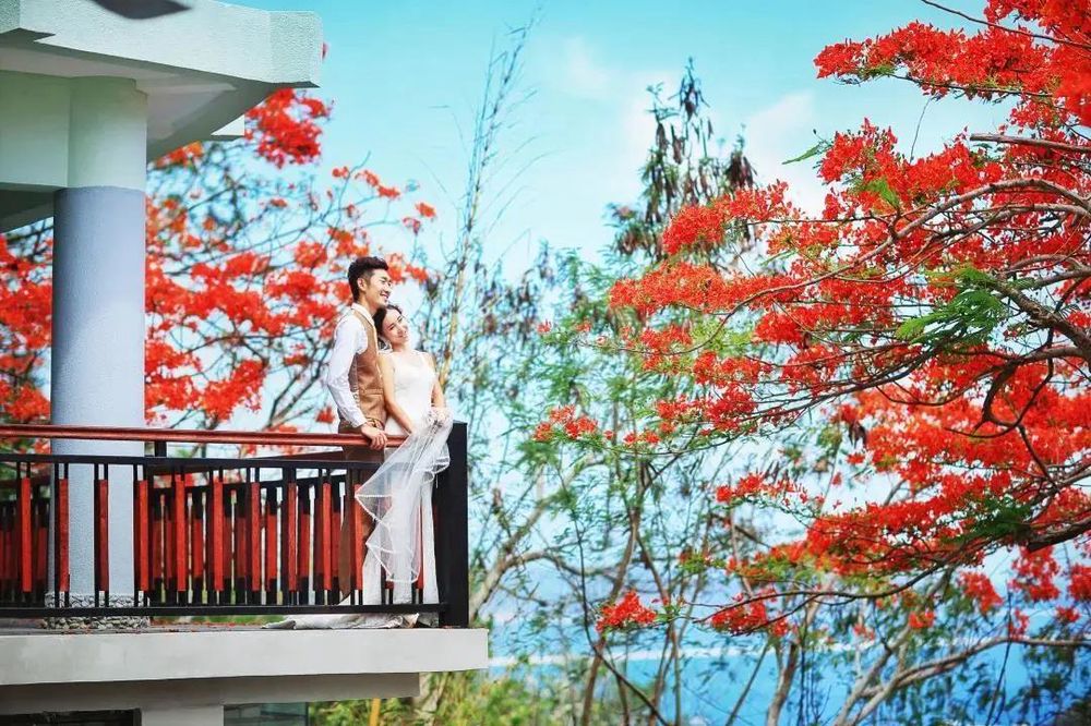 三亚旅游文化发展集团有限公司