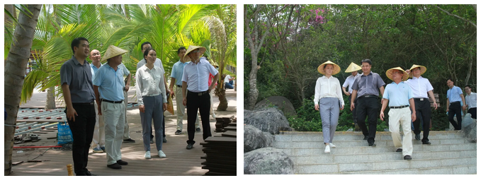 三亚旅游文化发展集团有限公司