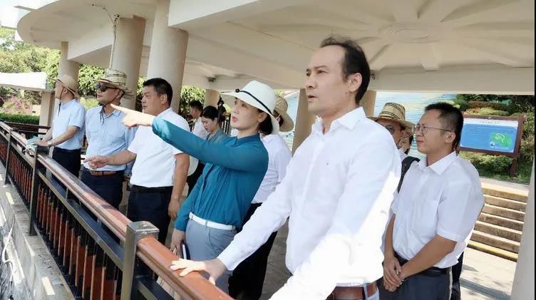 三亚旅游文化发展集团有限公司