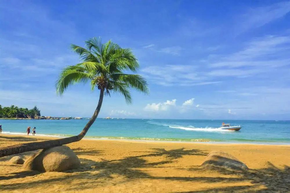 三亚旅游文化发展集团有限公司