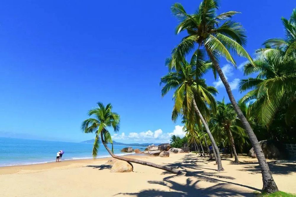 三亚旅游文化发展集团有限公司