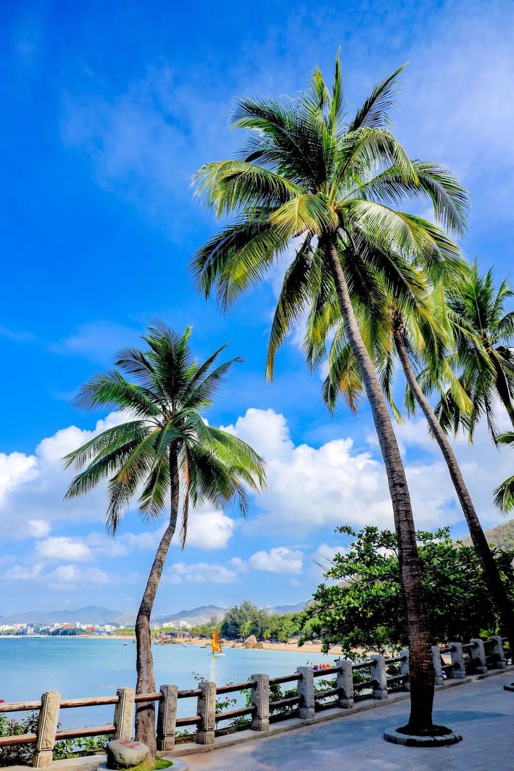 三亚旅游文化发展集团有限公司