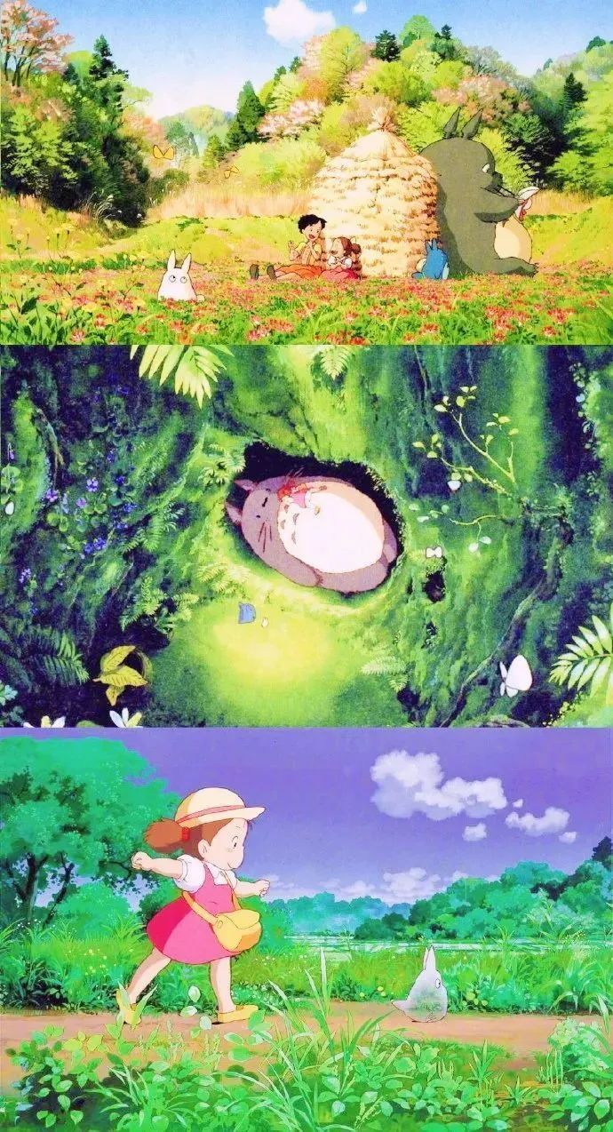 三亚旅游文化发展集团有限公司