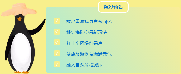 三亚旅游文化发展集团有限公司