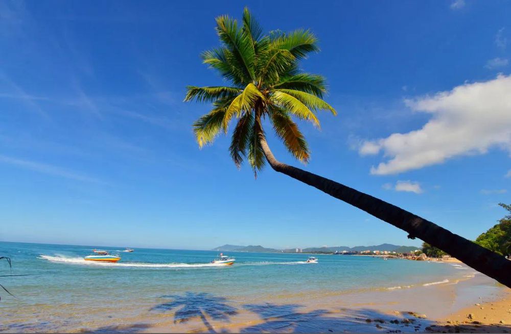 三亚旅游文化发展集团有限公司