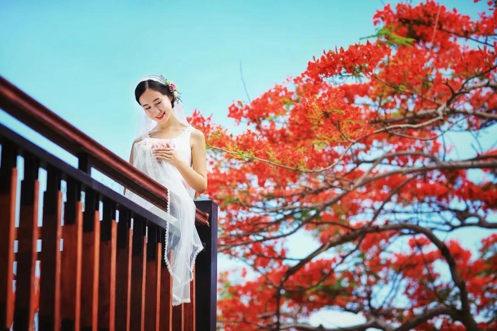 三亚旅游文化发展集团有限公司