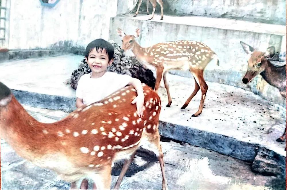 三亚旅游文化发展集团有限公司