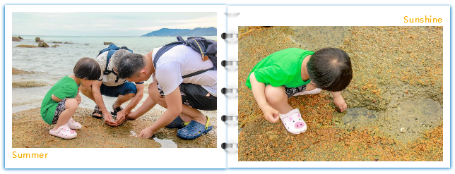 三亚旅游文化发展集团有限公司