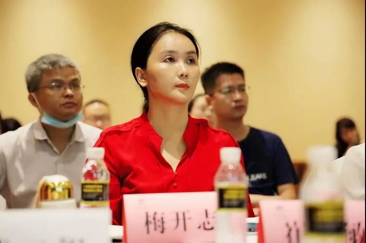 三亚旅游文化发展集团有限公司