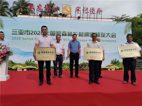 三亚旅游文化发展集团有限公司