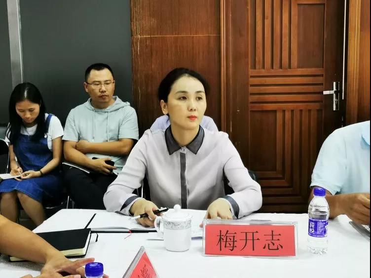 三亚旅游文化发展集团有限公司