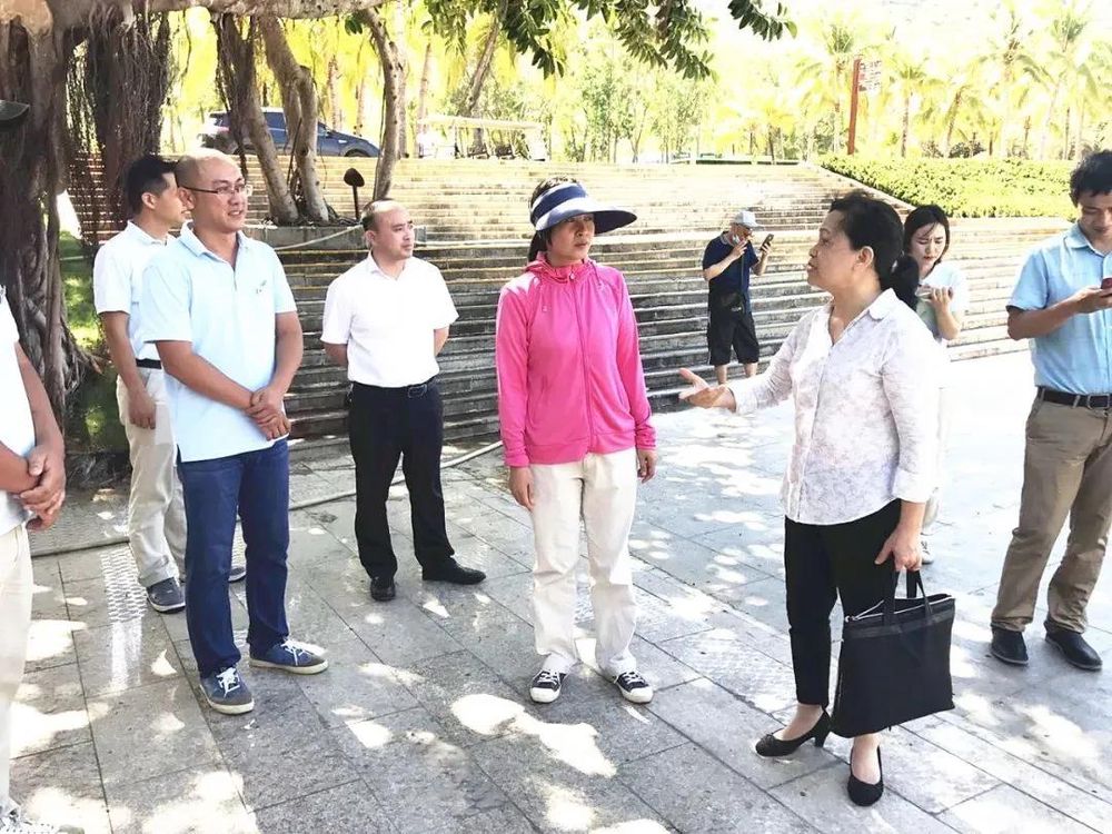 三亚旅游文化发展集团有限公司