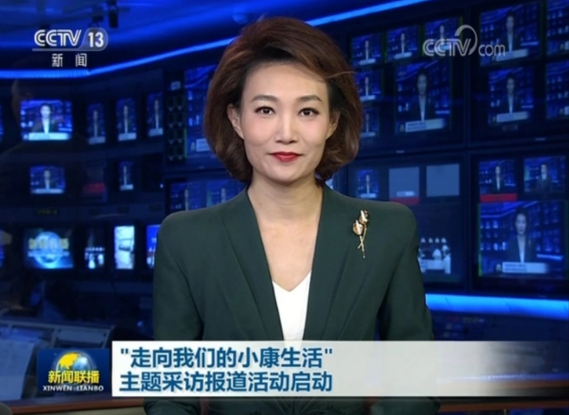 三亚旅游文化发展集团有限公司