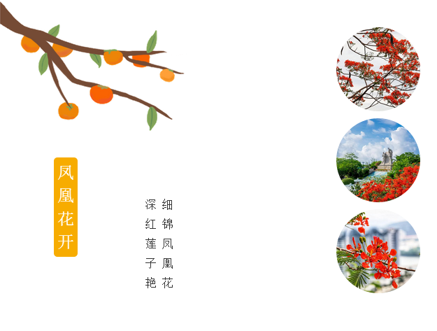 三亚旅游文化发展集团有限公司