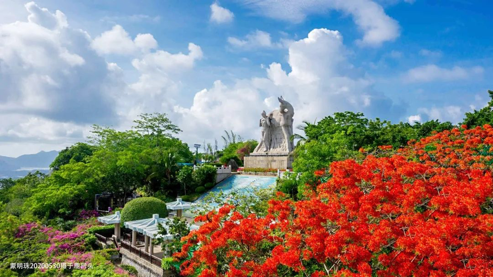 三亚旅游文化发展集团有限公司