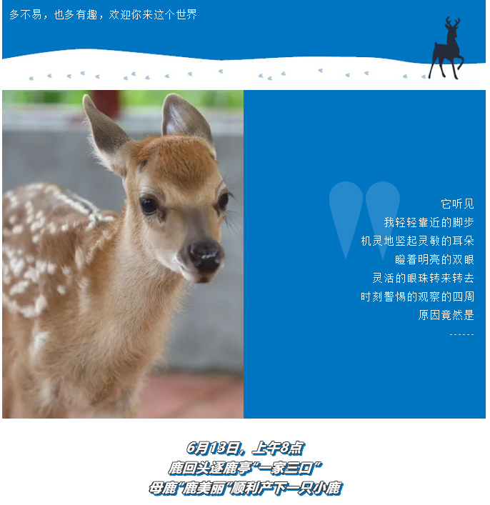 三亚旅游文化发展集团有限公司