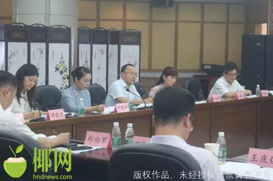 三亚旅游文化发展集团有限公司