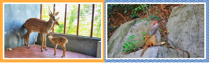 三亚旅游文化发展集团有限公司