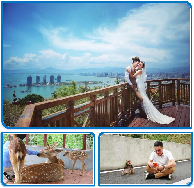 三亚旅游文化发展集团有限公司