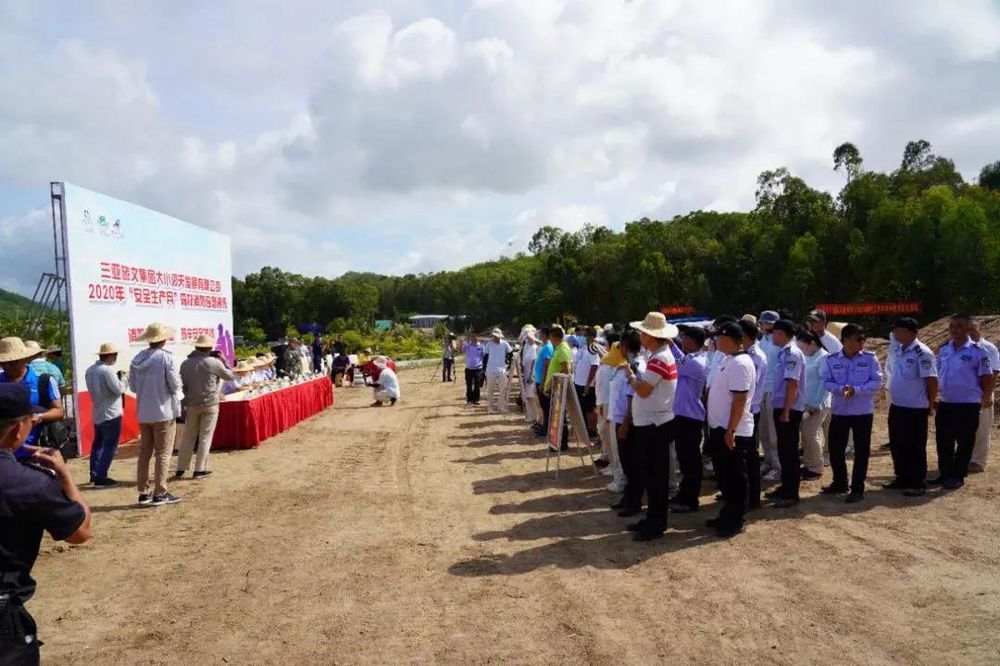 三亚旅游文化发展集团有限公司