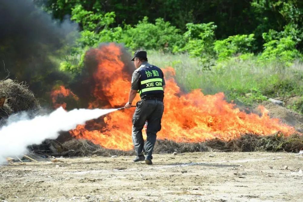 三亚旅游文化发展集团有限公司