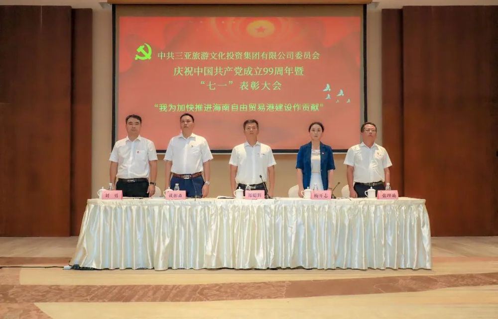三亚旅游文化发展集团有限公司