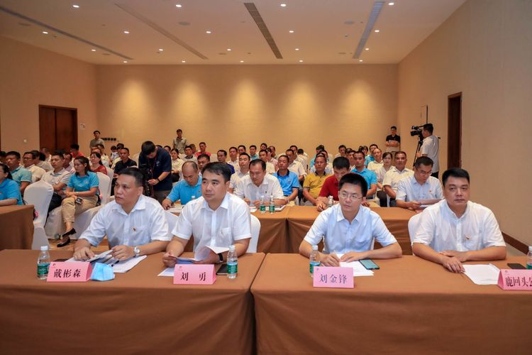 三亚旅游文化发展集团有限公司