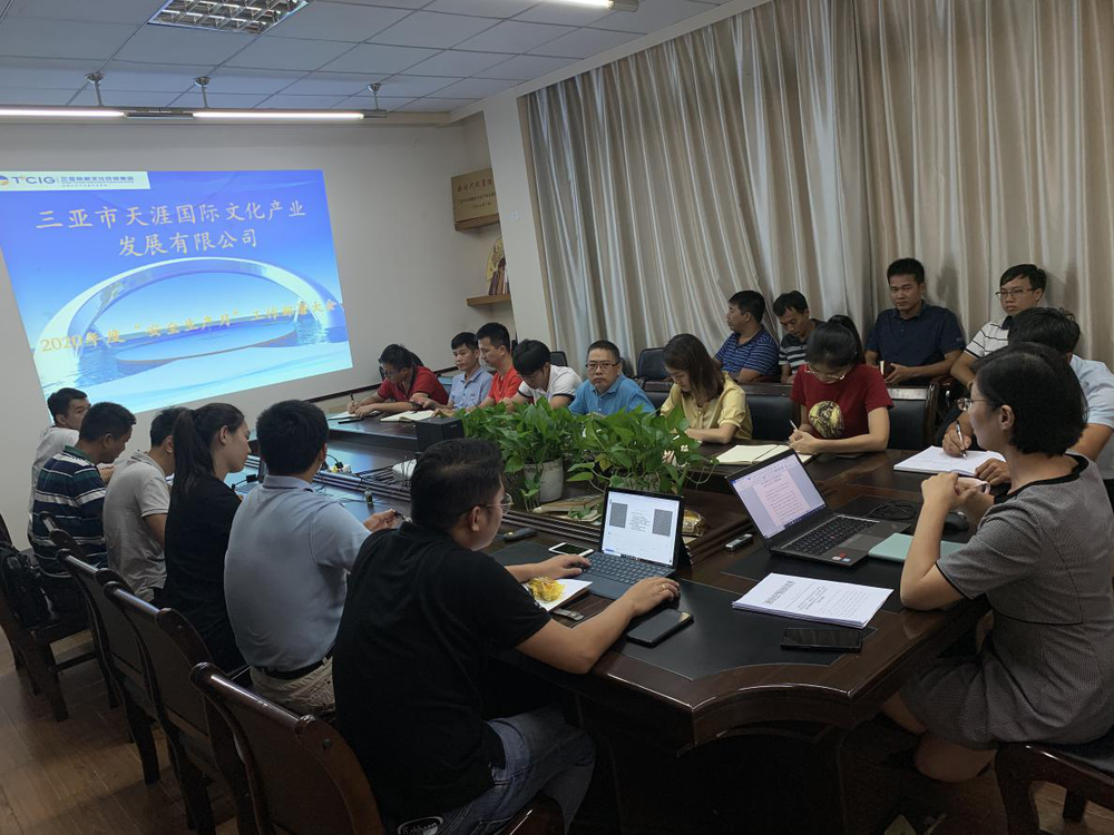 三亚旅游文化发展集团有限公司