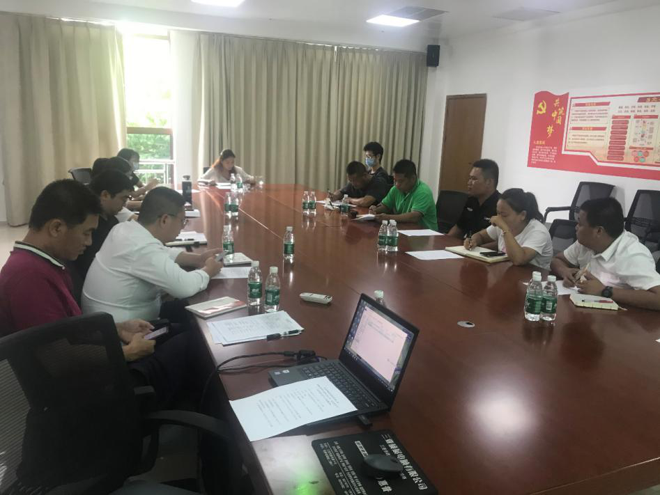 三亚旅游文化发展集团有限公司